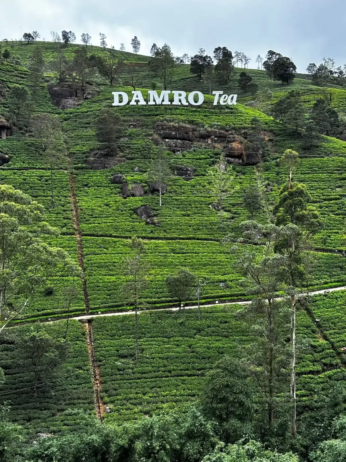 Nuwara-Eliya