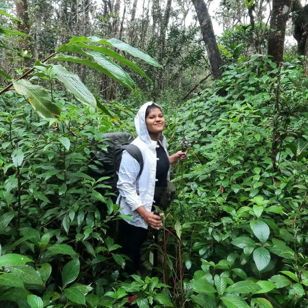 Sakura Madhuwanthi