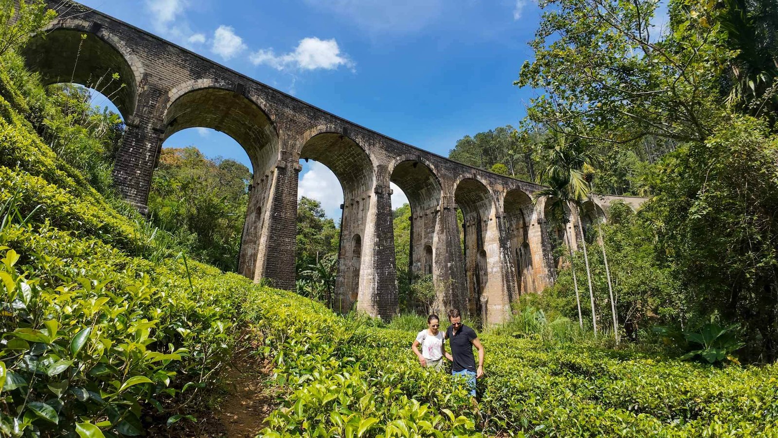Seat In Coach Tours In Sri Lanka