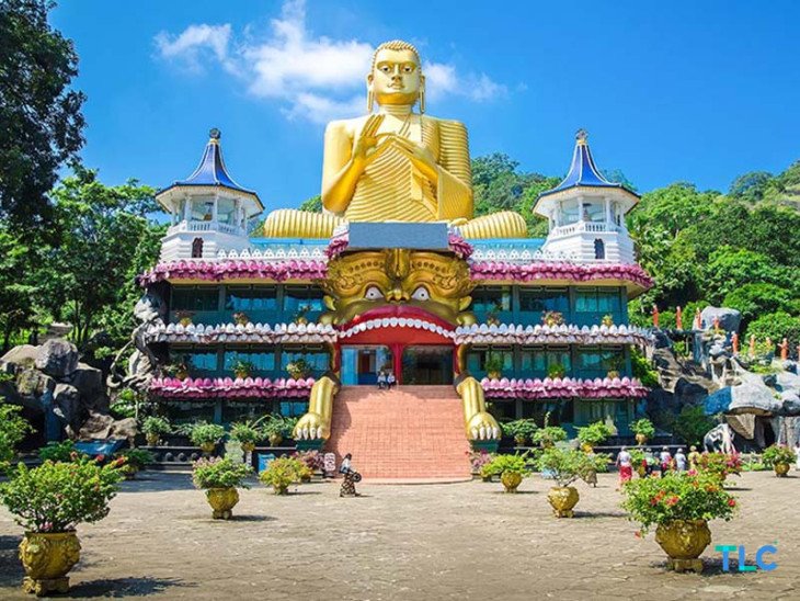 Dambulla to Airport | Departure Transfer
