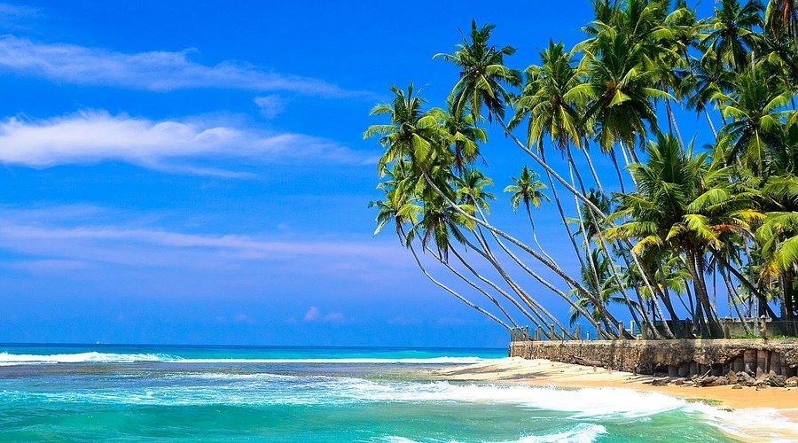 Airport to Hikkaduwa | Arrival Transfer