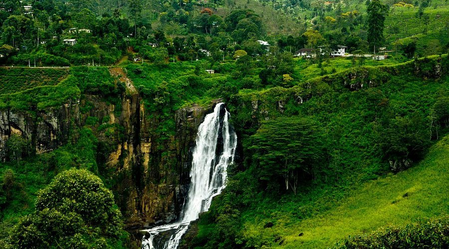 Airport to Kotagala | Arrival Transfer