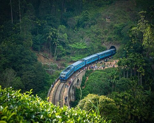 Airport to Nanuoya | Arrival Transfer