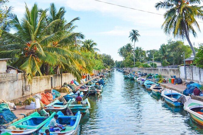 Airport to Negombo City | Arrival Transfer