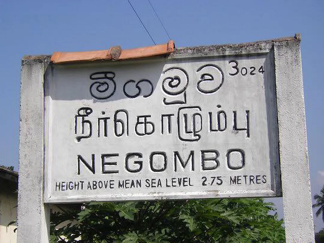 Negombo City to Airport | Departure Transfer