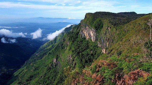 Airport to Ohiya | Arrival Transfer