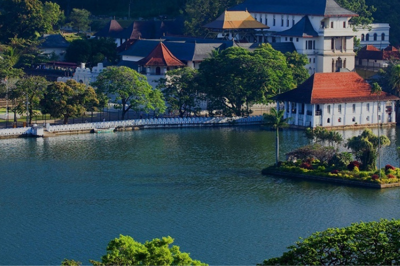 Negombo to Kandy Day Tour 