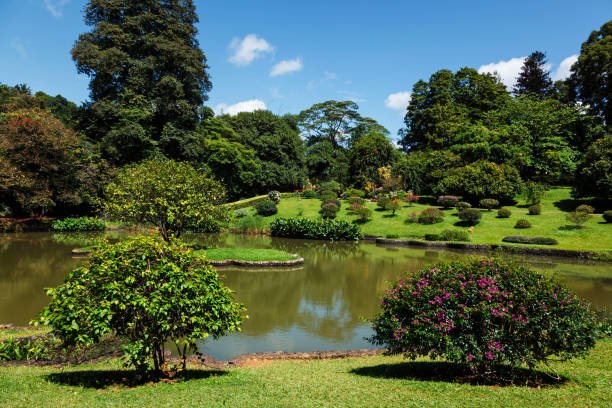 Peradeniya to Airport | Departure Transfer
