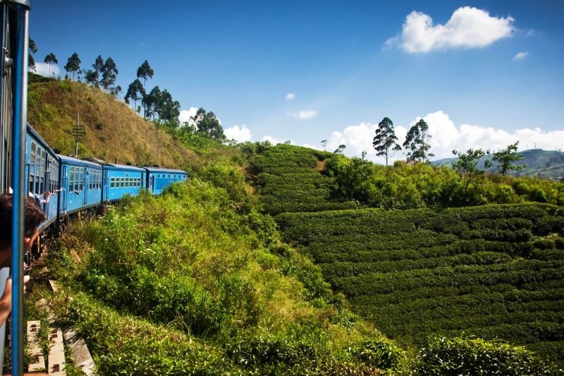 The Wonders of Sri Lanka