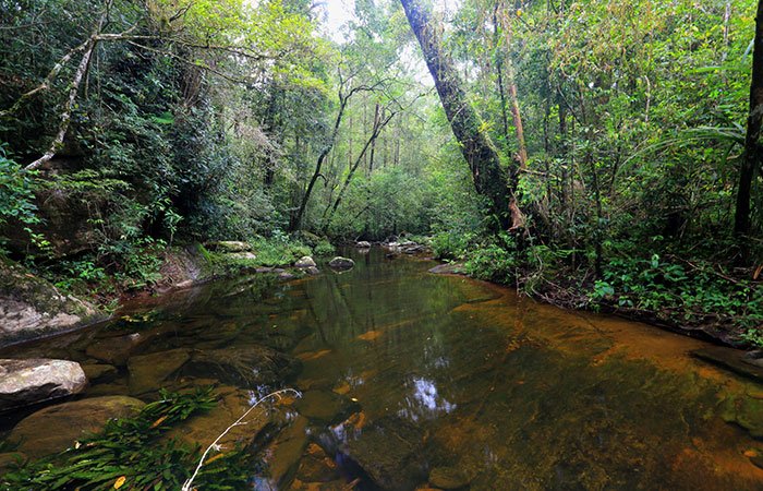 Sinharaja Forest to Airport | Departure Transfer