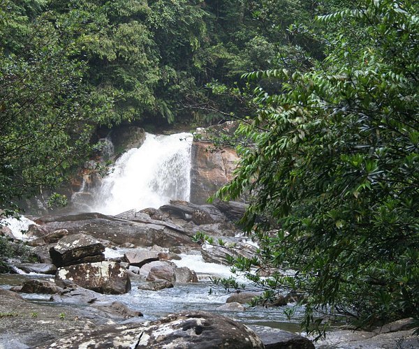 Sinharaja Forest - Deniyaya to Airport | Departure Transfer