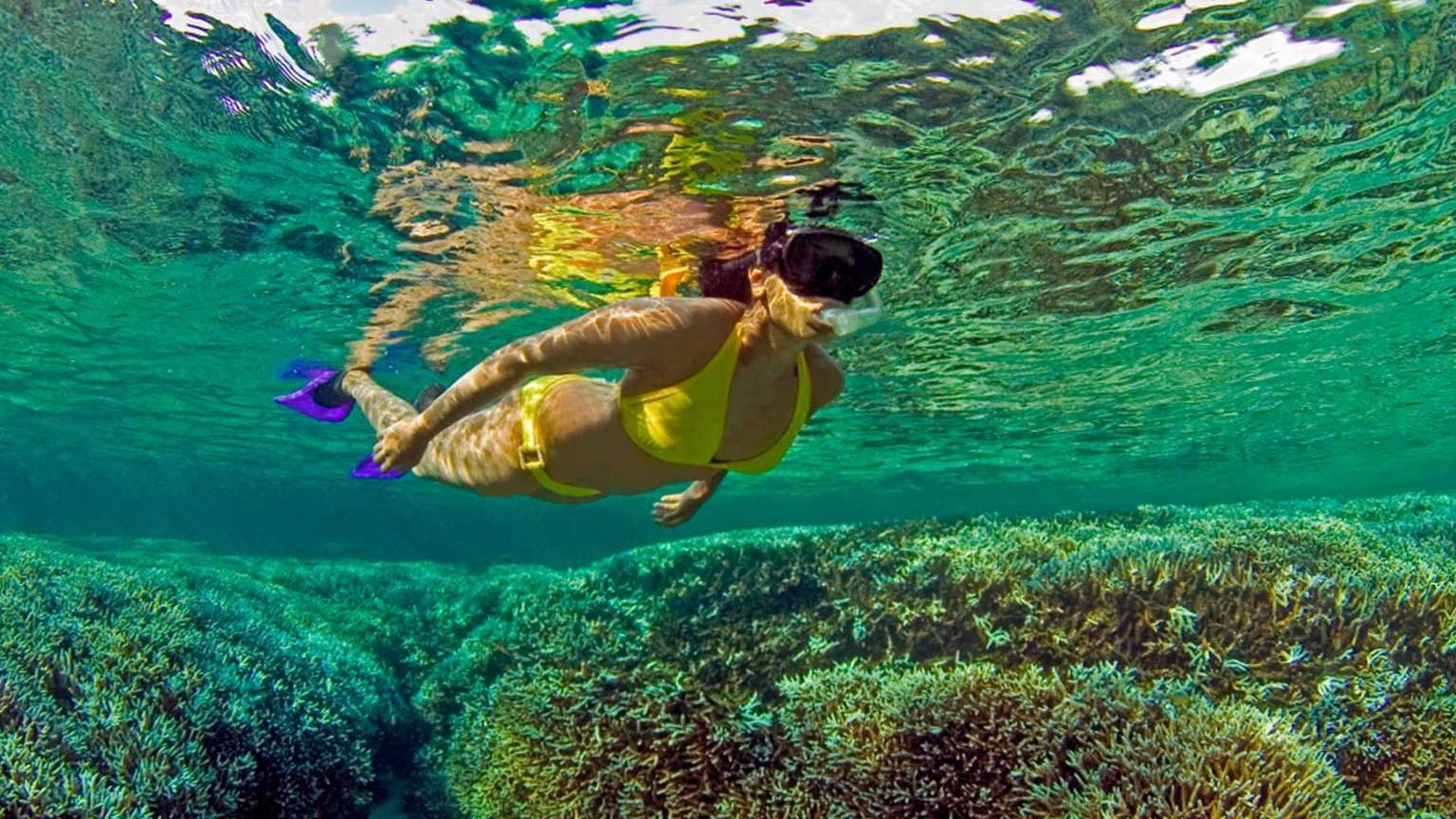From Trincomalee Beach: Pigeon Island Snorkeling Tour