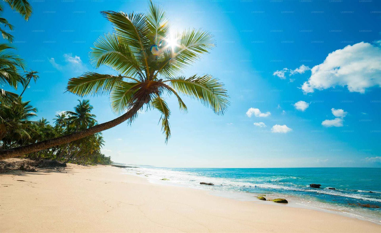 10 Days 09 Nights Sri Lanka Northern Wonders Tour