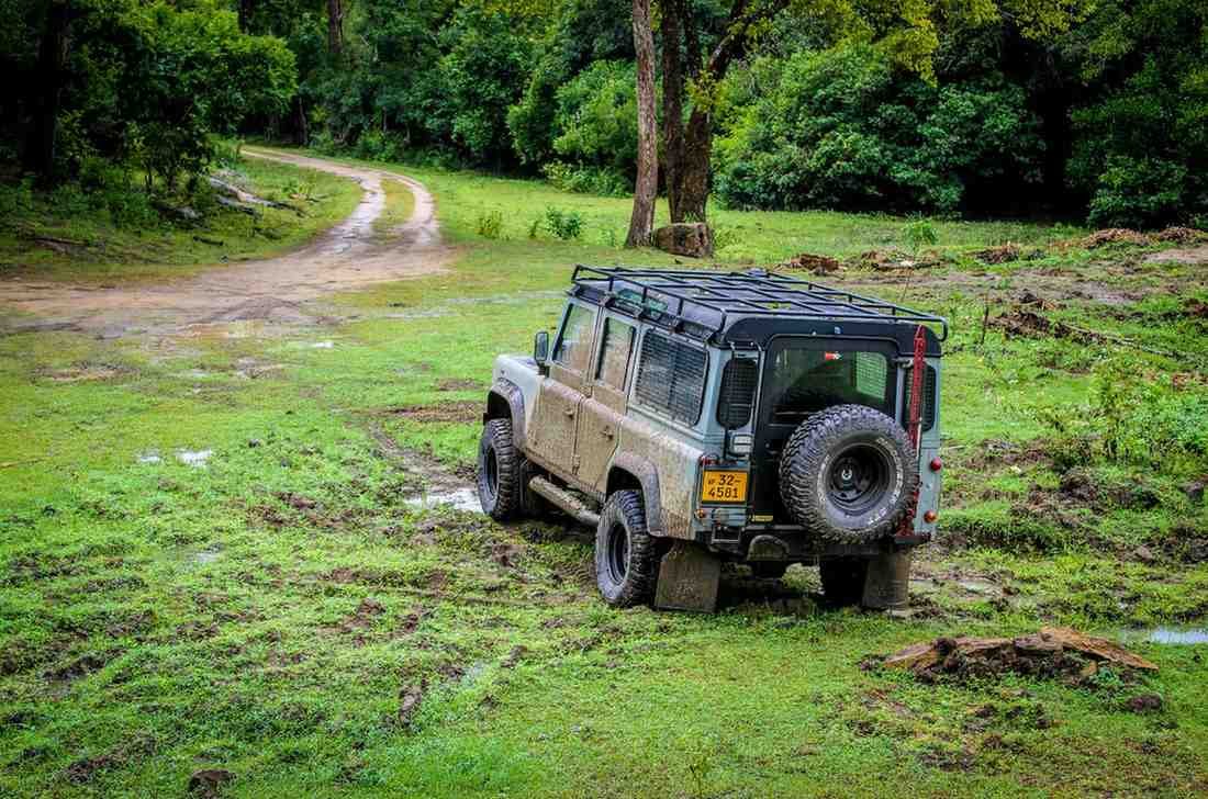 Into the Wild: Yala Safari